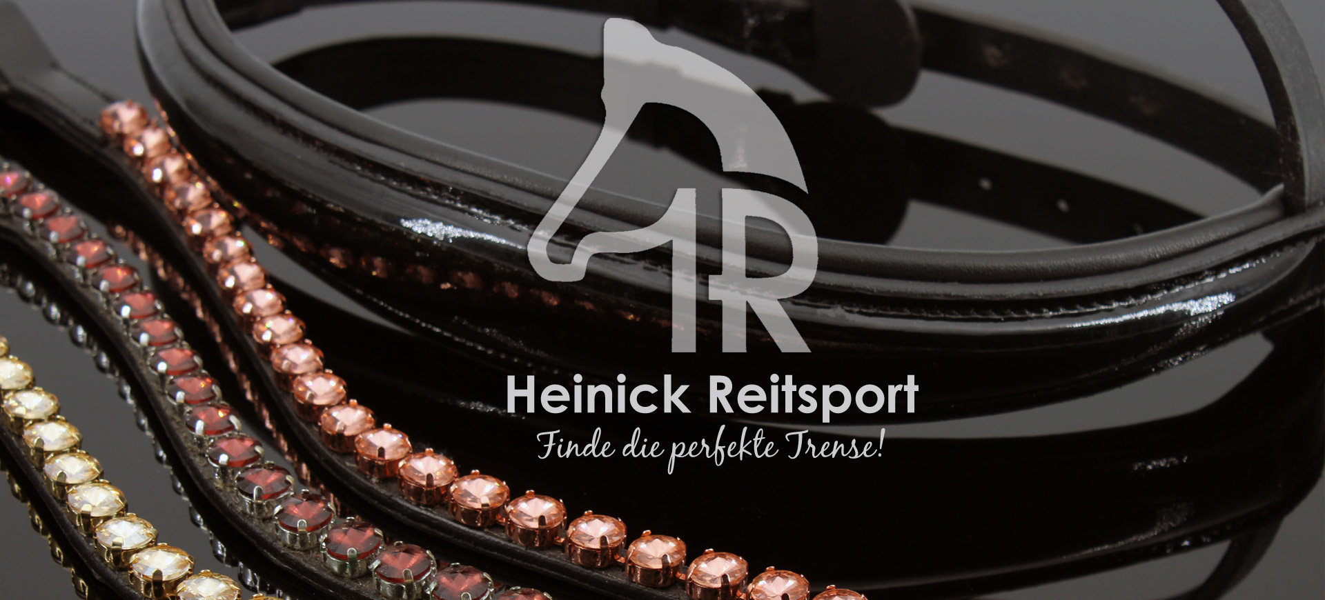 Trense-DIY-Reithalfter-Stirnriemen-Heinick-Reitsport